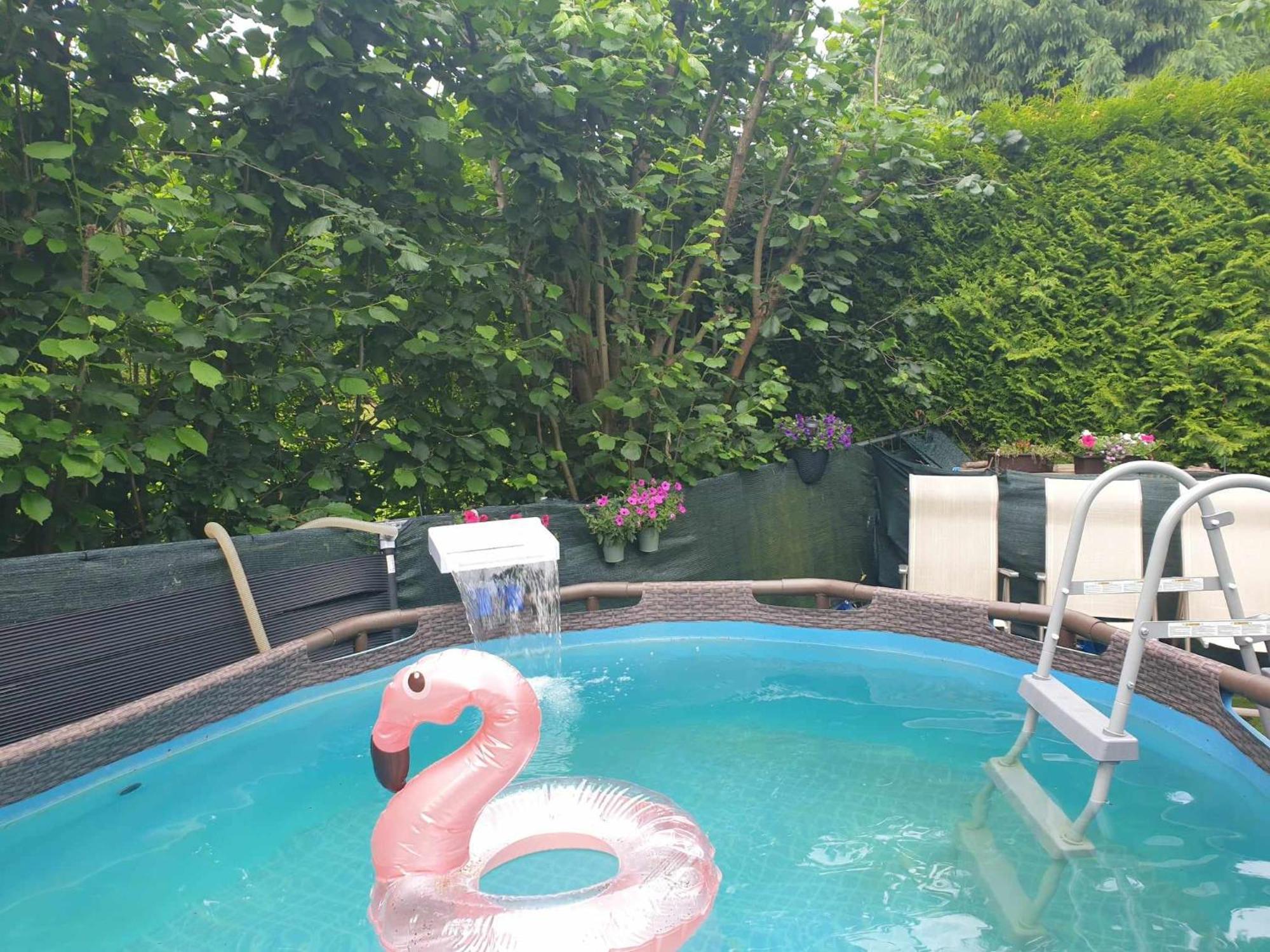 Chalet Severka Carpe Diem Rokytnice nad Jizerou Dış mekan fotoğraf